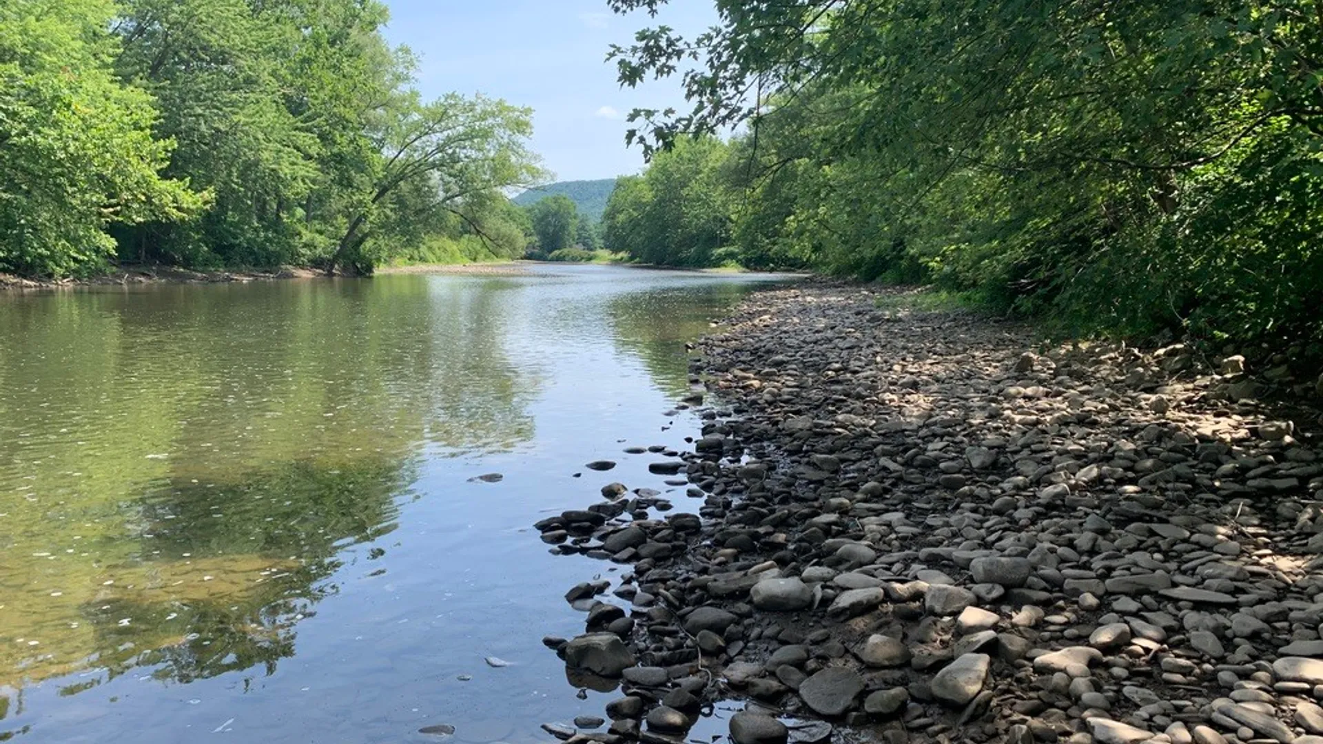 Property at State Highway 23, Oneonta, NY 13820 6