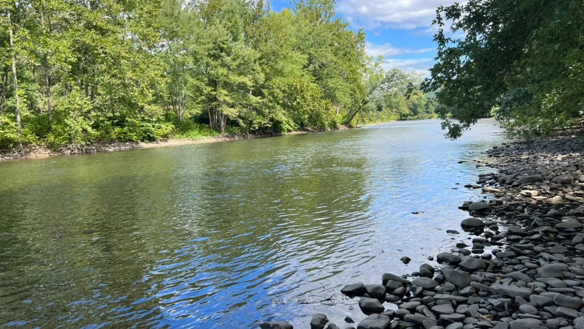 Property at State Highway 23, Oneonta, NY 13820 7