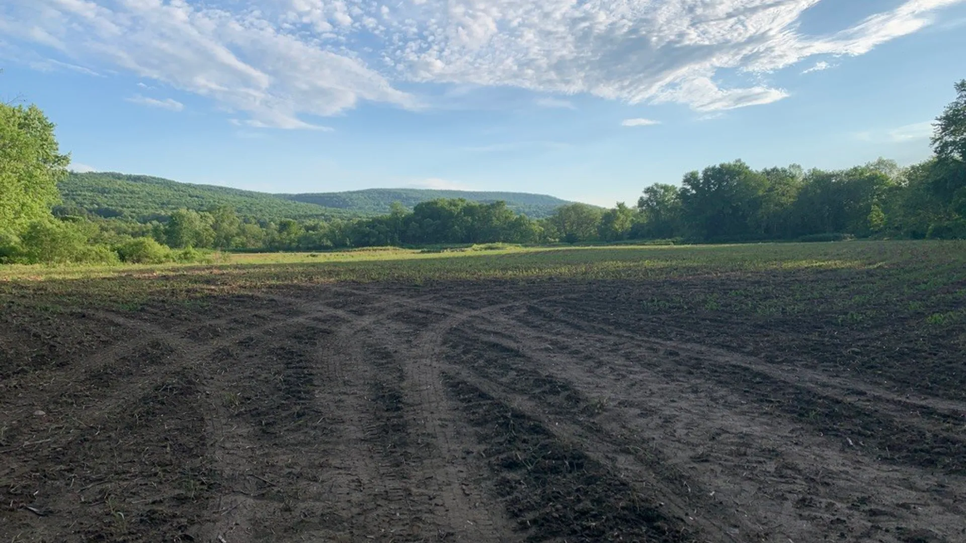 Property at State Highway 23, Oneonta, NY 13820 9