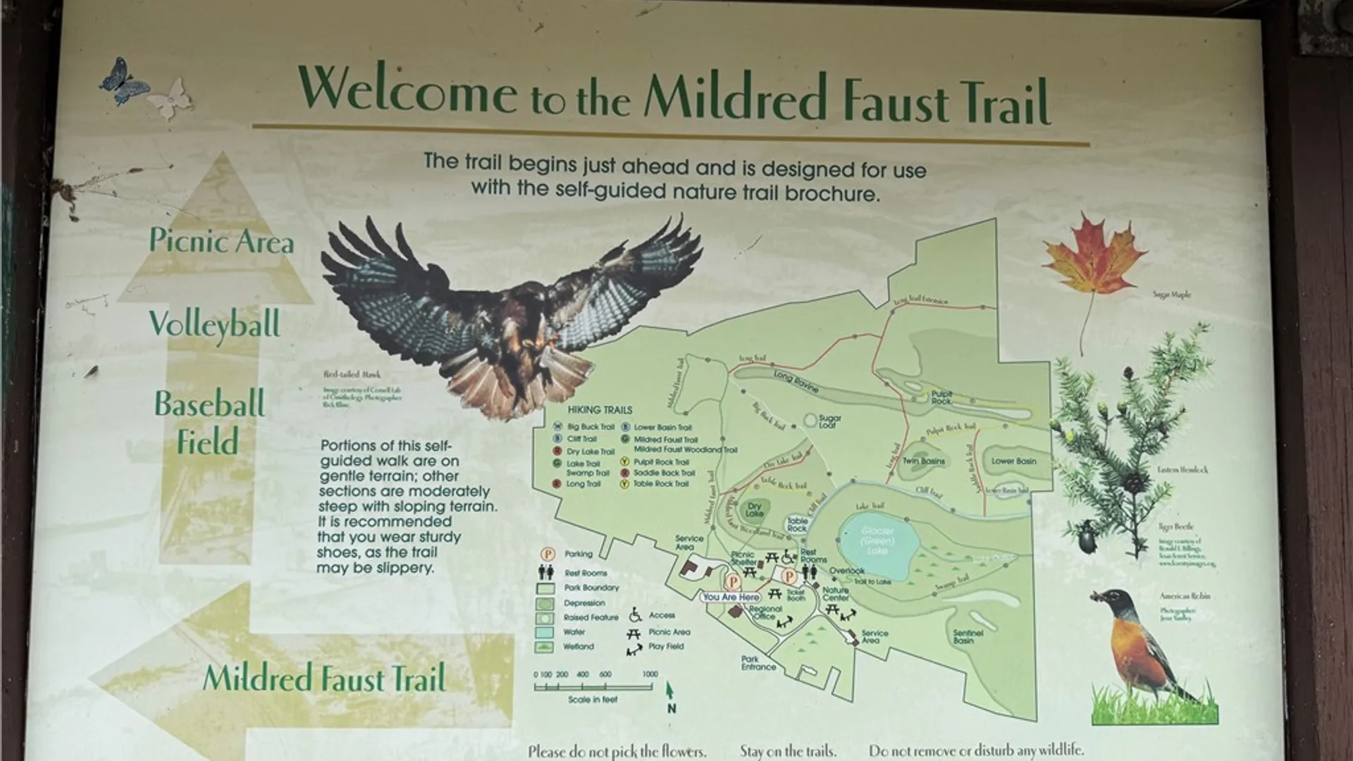 Property at 6029 Seneca, DeWitt, NY 13078 46