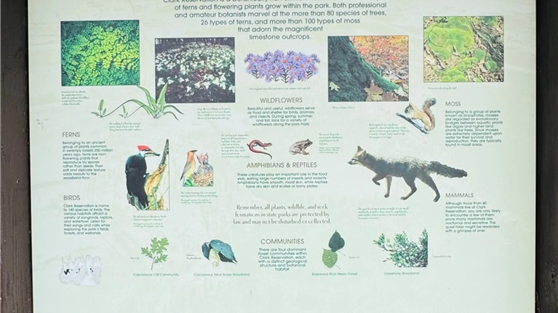 Property at 6029 Seneca, DeWitt, NY 13078 47