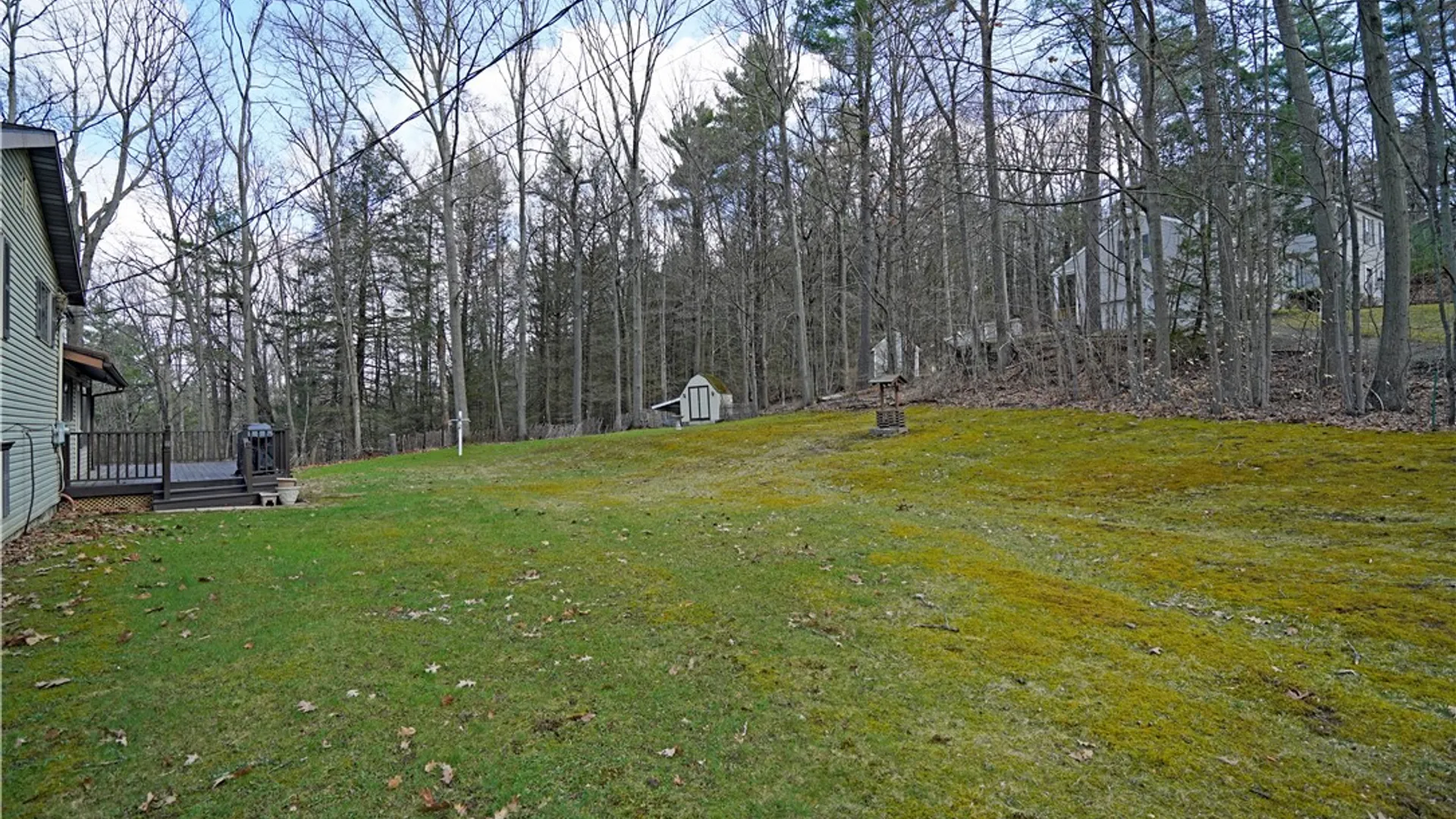 Property at 6722 Pheasant Ln, Bath, NY 14810 28