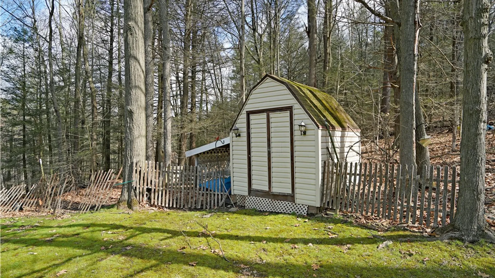 Property at 6722 Pheasant Ln, Bath, NY 14810 29