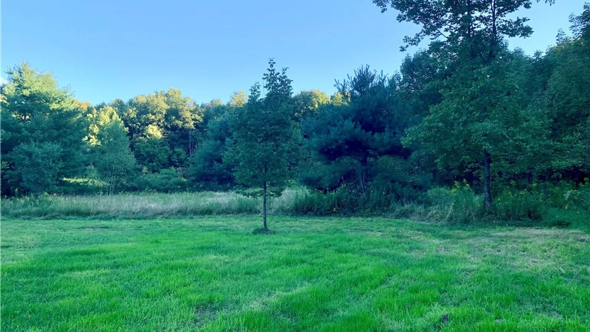 Property at 2922 Lee Road, Florence, NY 13316 5