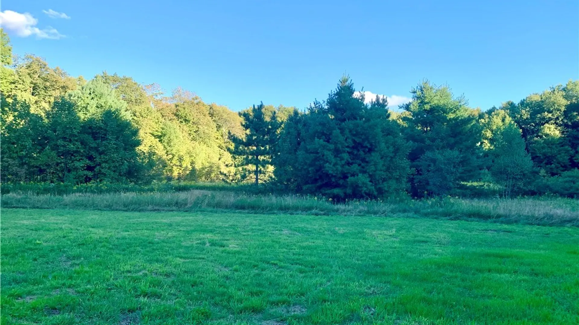 Property at 2922 Lee Road, Florence, NY 13316 6