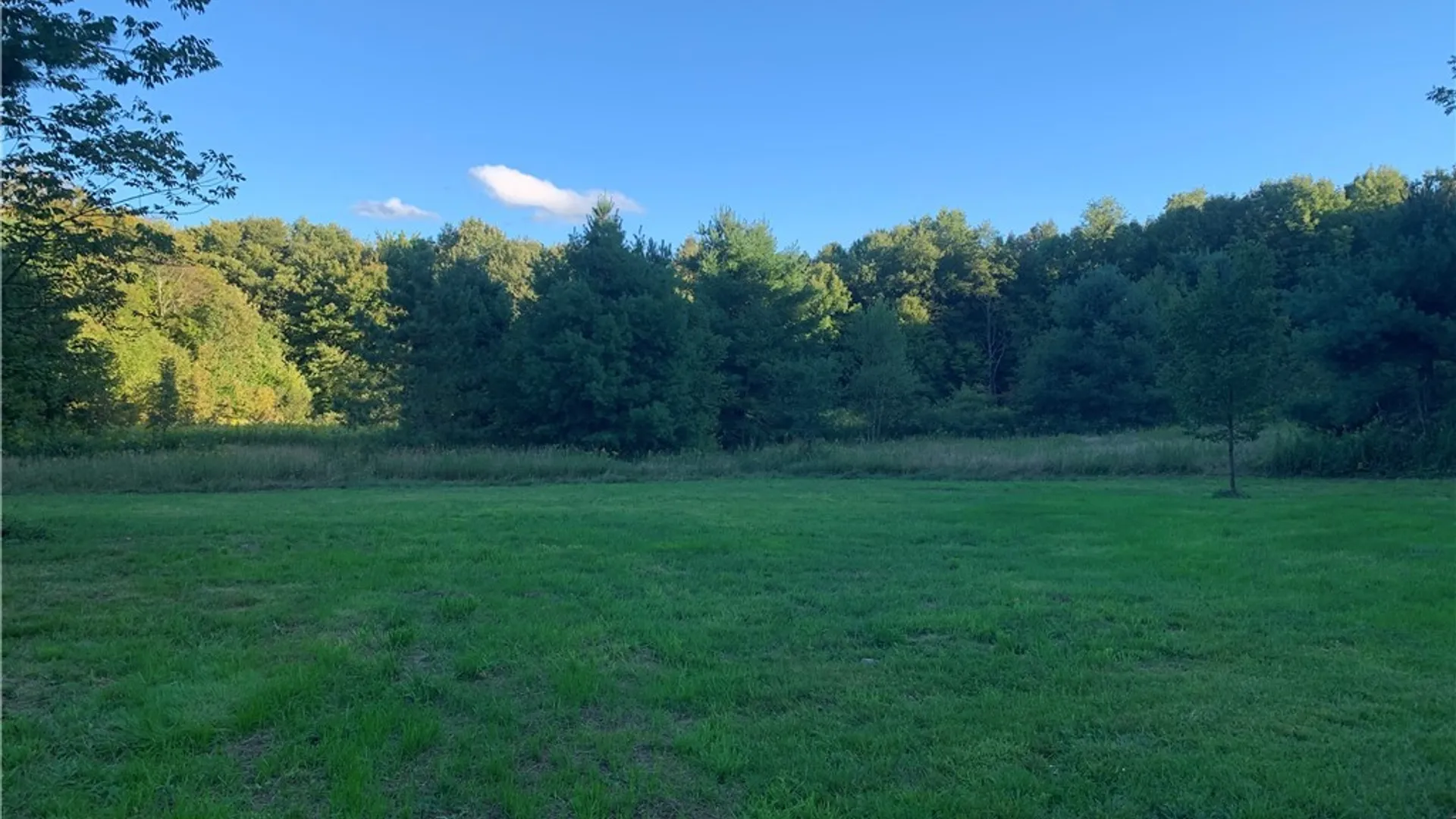 Property at 2922 Lee Road, Florence, NY 13316 7