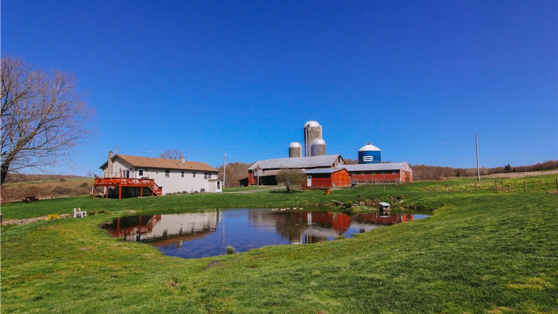 Property at 3294 Haines Rd, Taylor, NY 13040 2