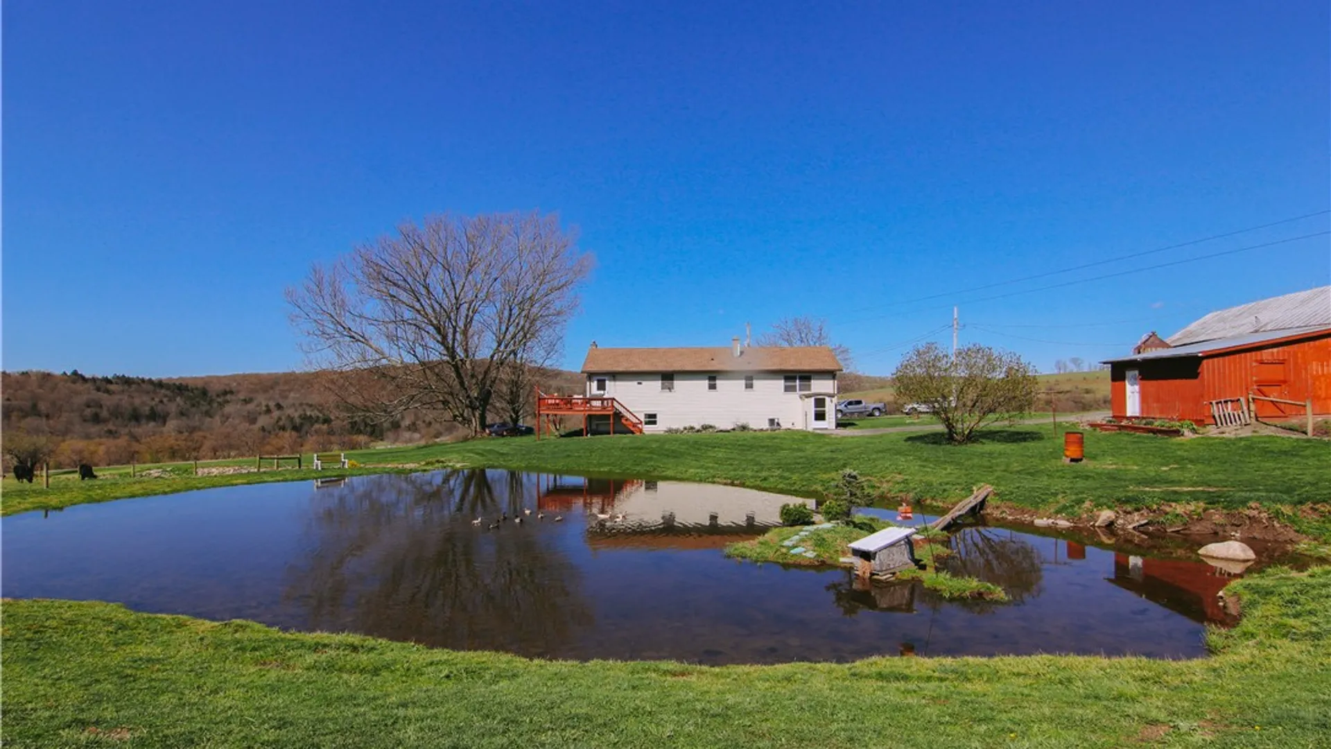 Property at 3294 Haines Rd, Taylor, NY 13040 25