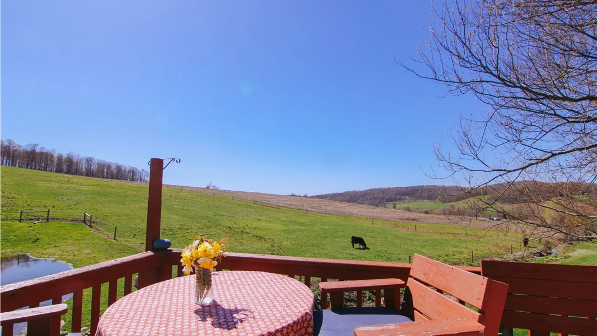 Property at 3294 Haines Rd, Taylor, NY 13040 3