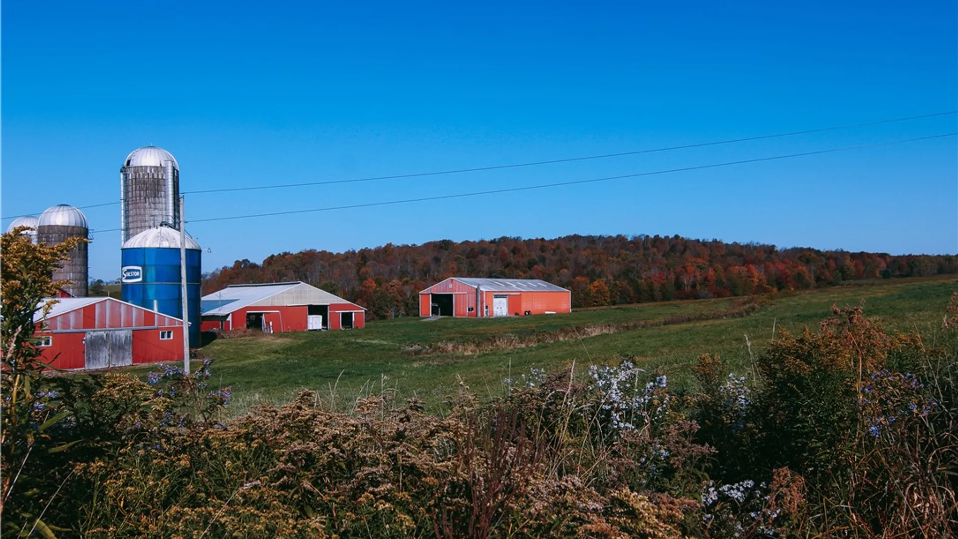 Property at 3294 Haines Rd, Taylor, NY 13040 30