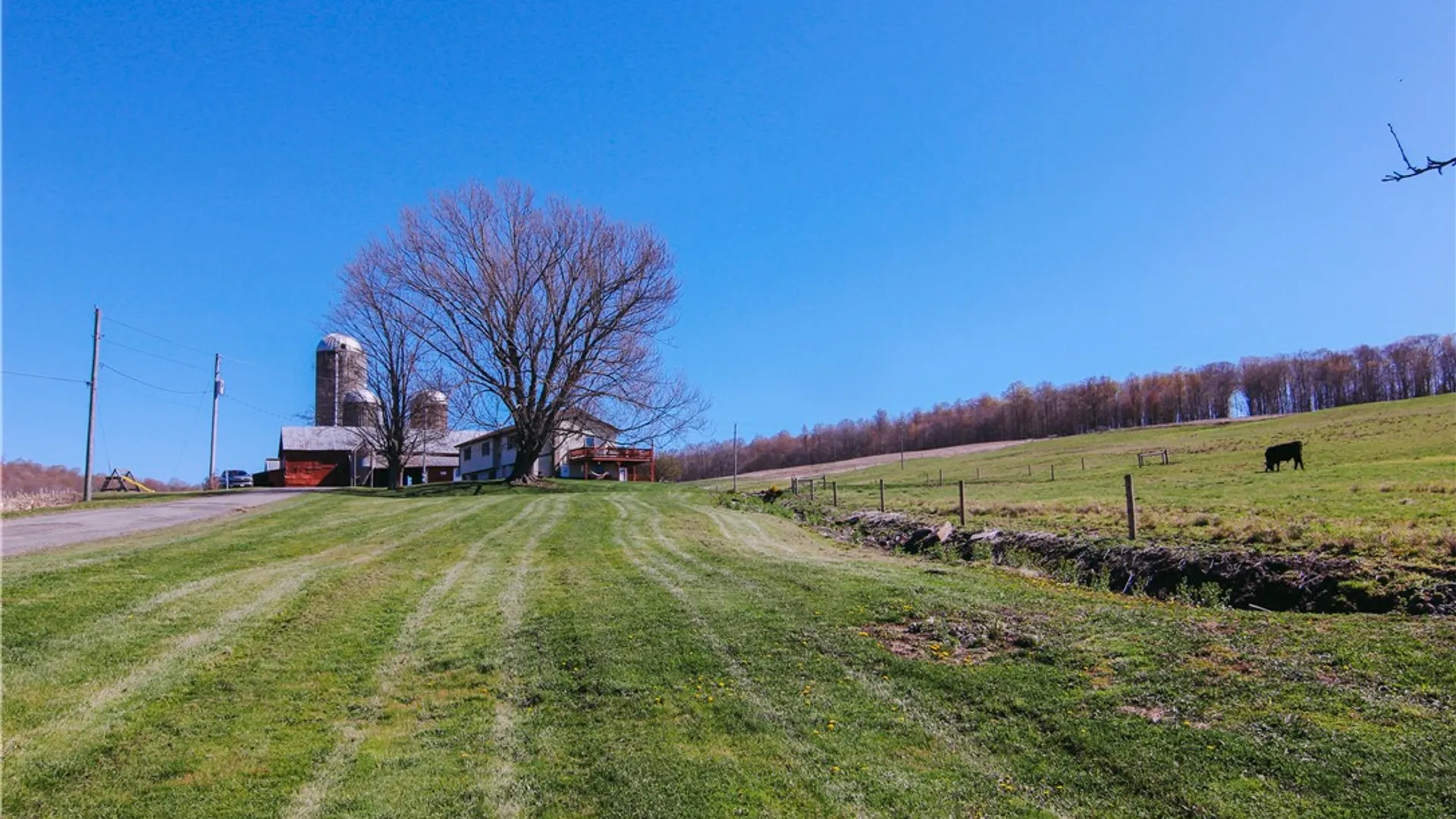 Property at 3294 Haines Rd, Taylor, NY 13040 4