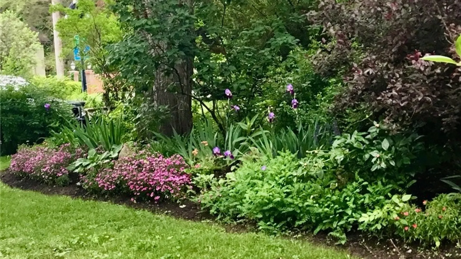 Property at 901 Water Street, Elmira, NY 14905 50