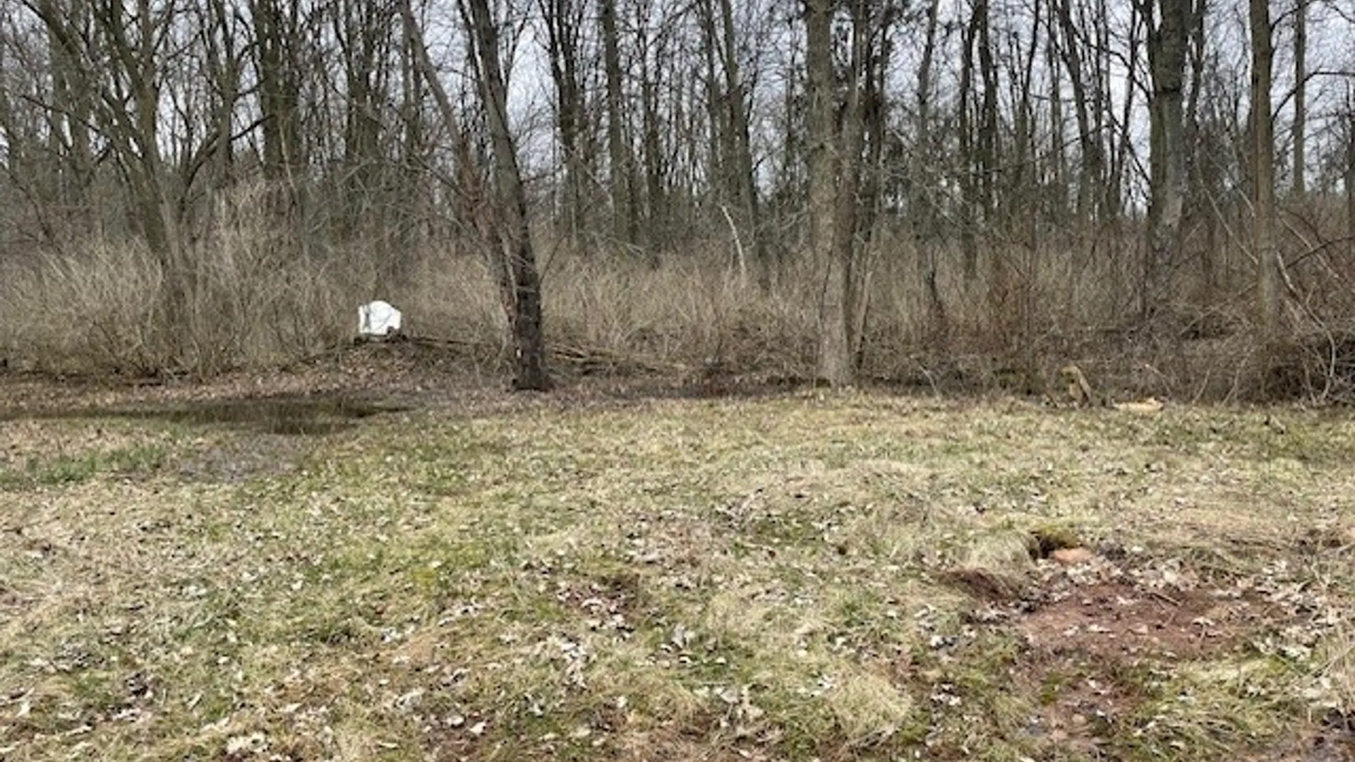 Property at 3735 Lockport Olcott Road, Newfane, NY 14108 5