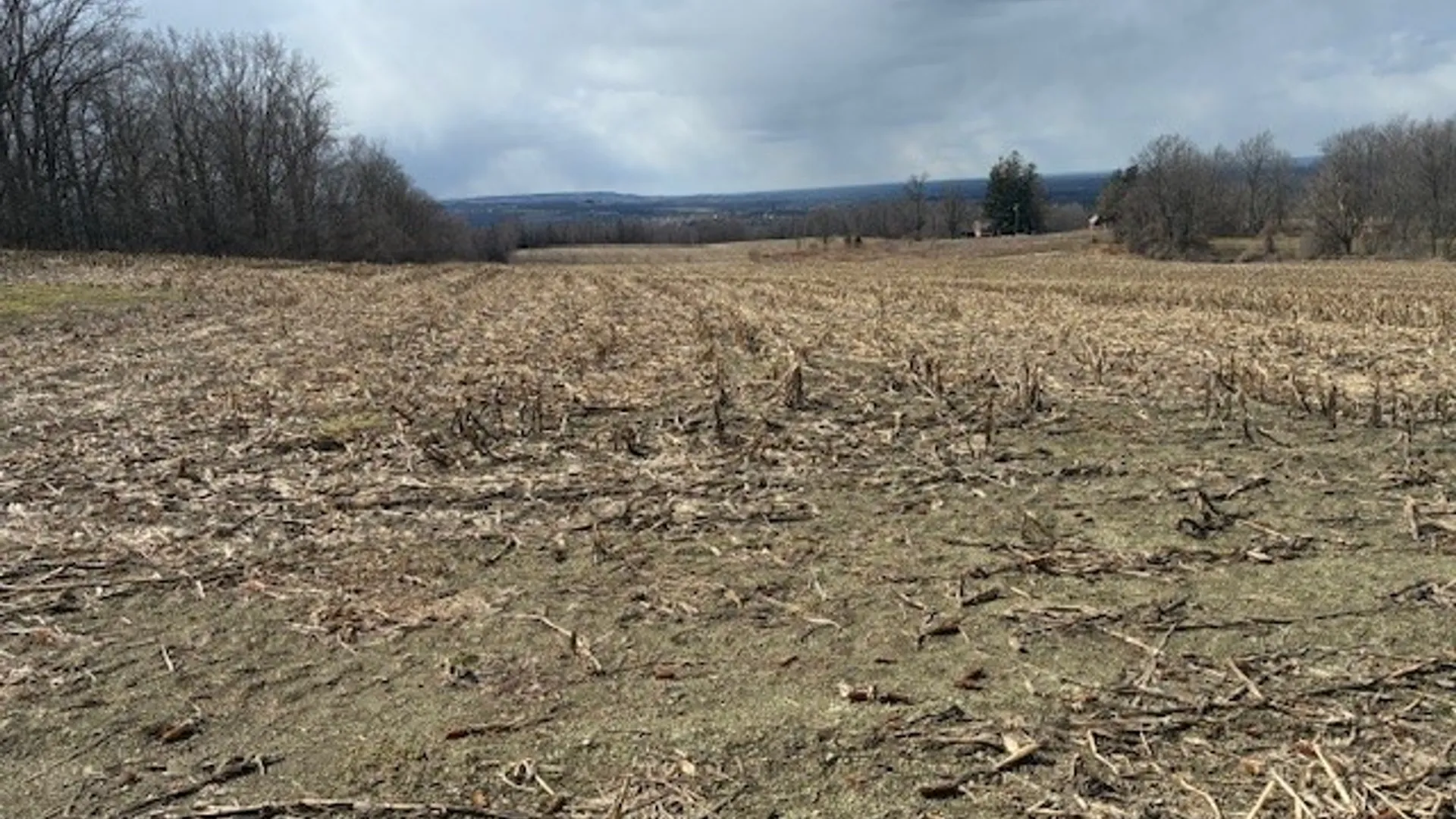 Property at Skyline Drive, Kirkland, NY 13323 3