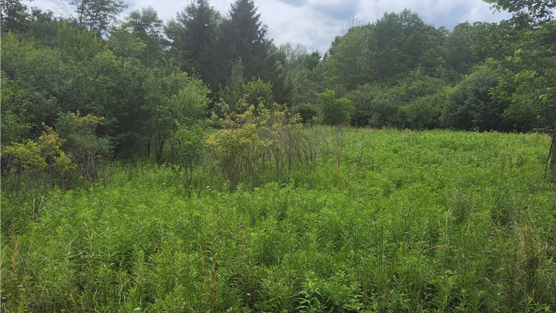 Property at 108 Scott Avenue, Wellsville, NY 14895 2