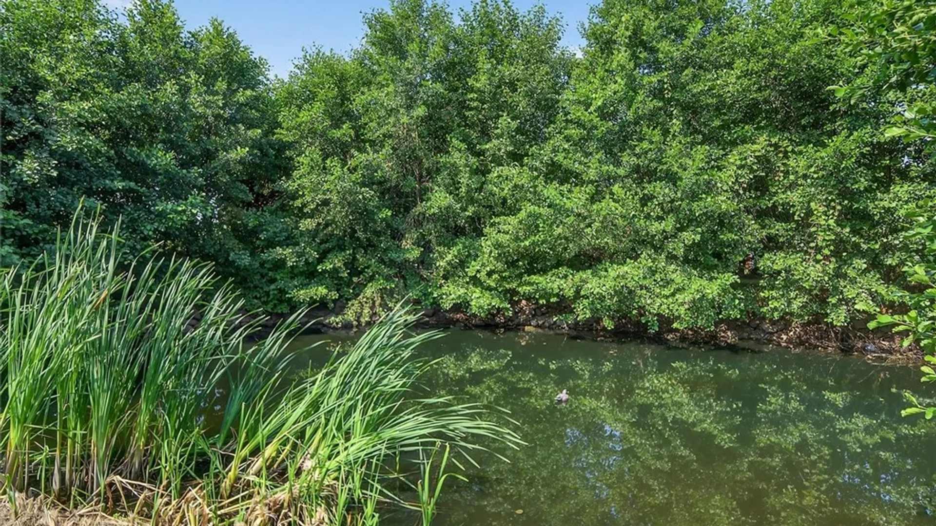 Property at 14462 Lakeshore Road, Carlton, NY 14477 28