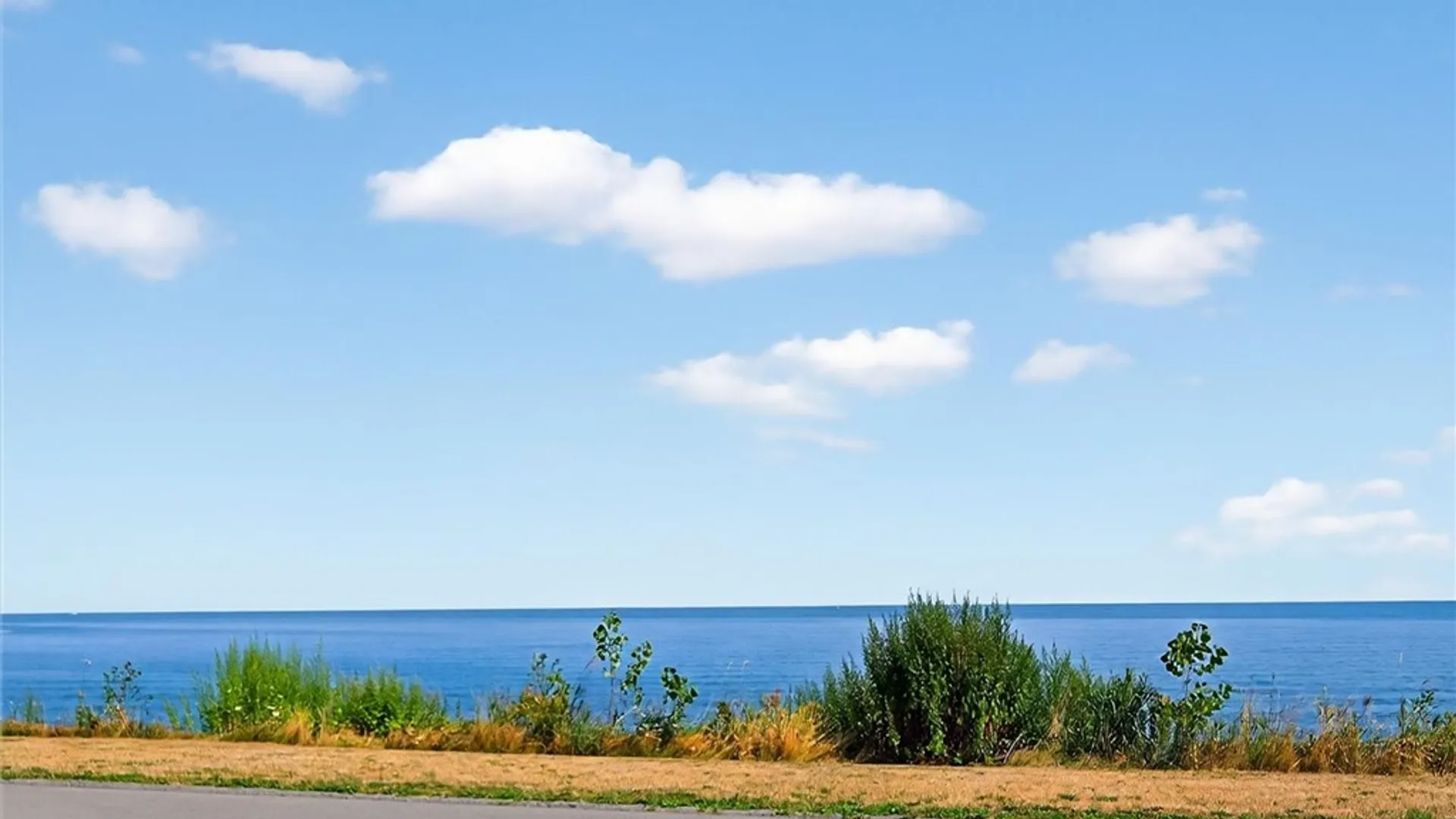 Property at 14462 Lakeshore Road, Carlton, NY 14477 4