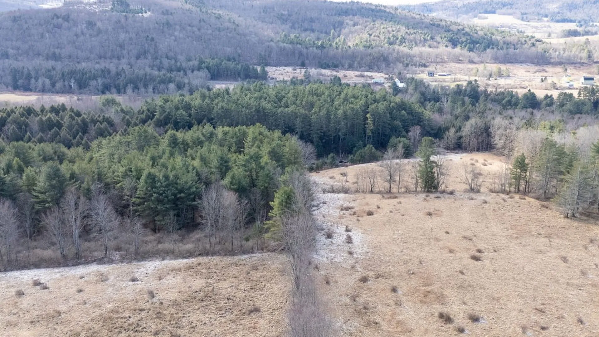 Property at 13390 County Highway 23, Sidney, NY 13849 22