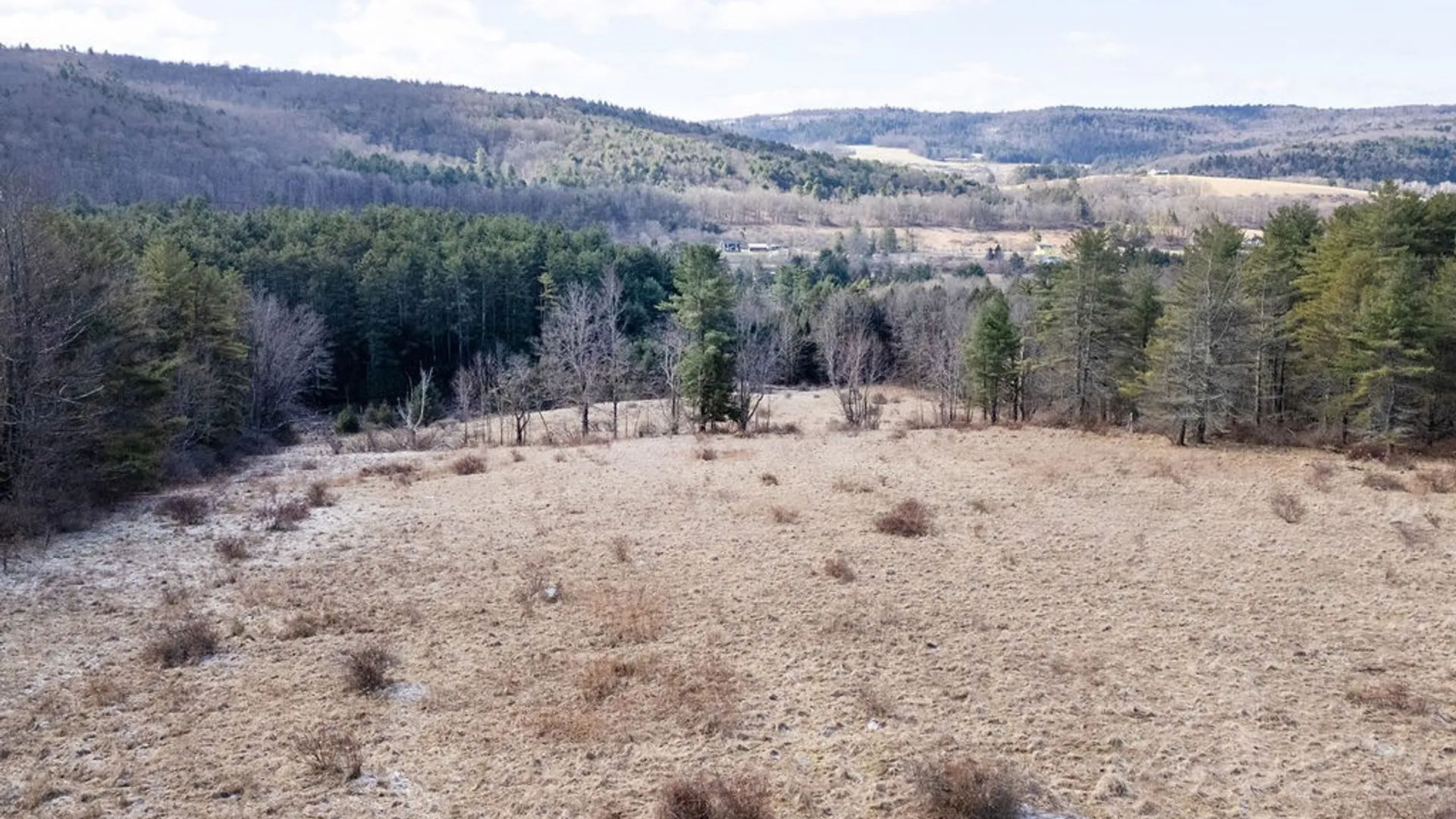 Property at 13390 County Highway 23, Sidney, NY 13849 23