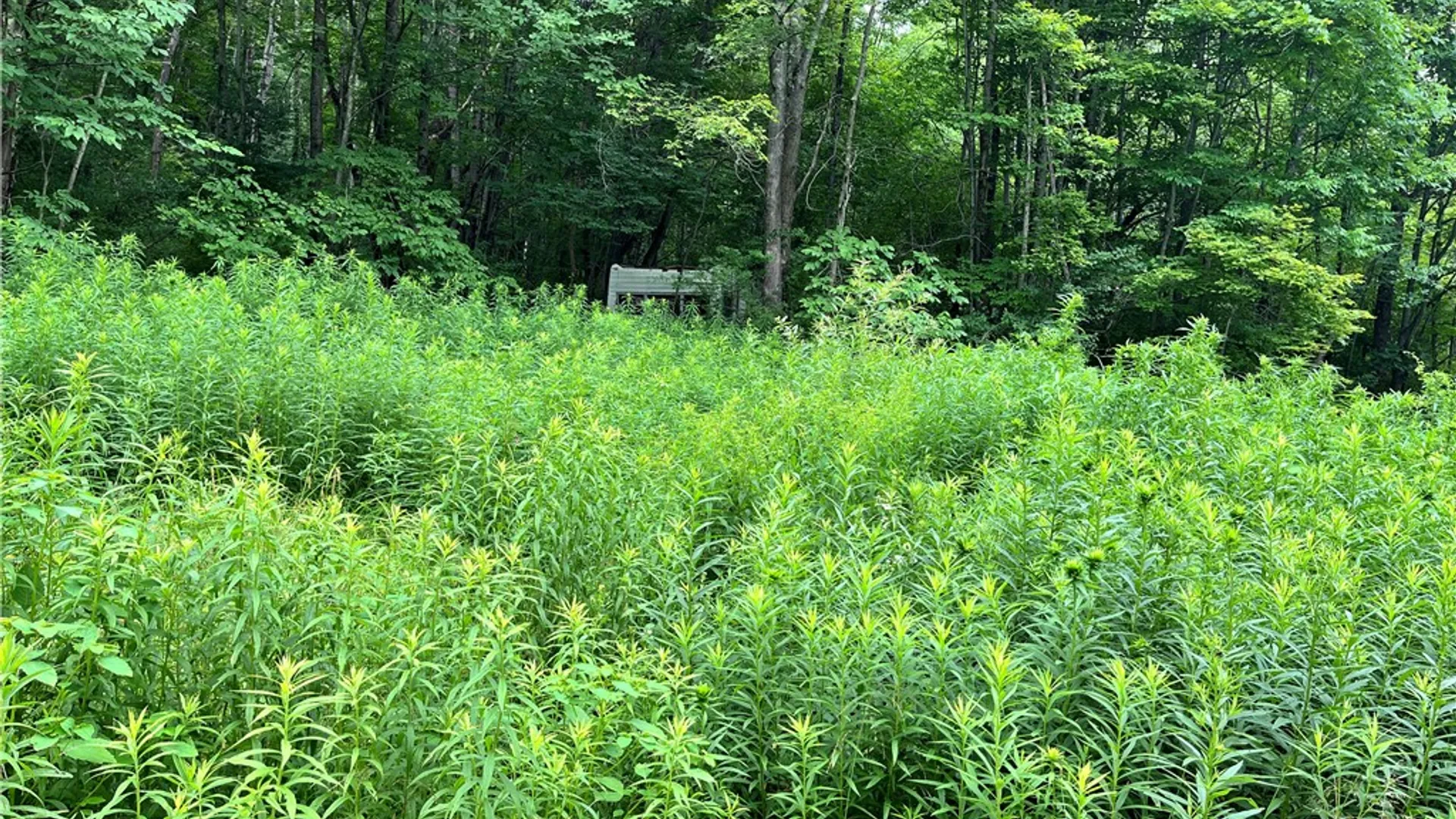 Property at 0 Marvin Hollow Road, Walton, NY 13856 11