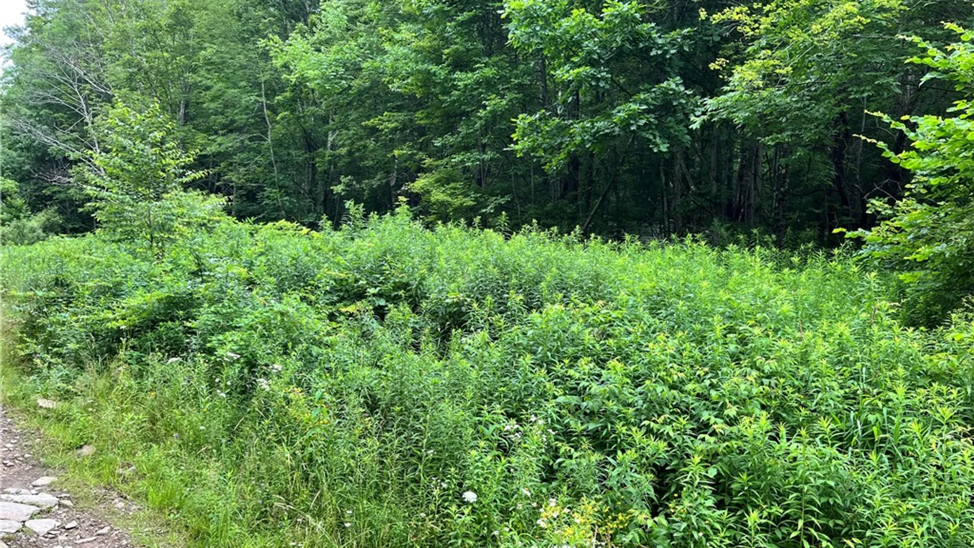 Property at 0 Marvin Hollow Road, Walton, NY 13856 12