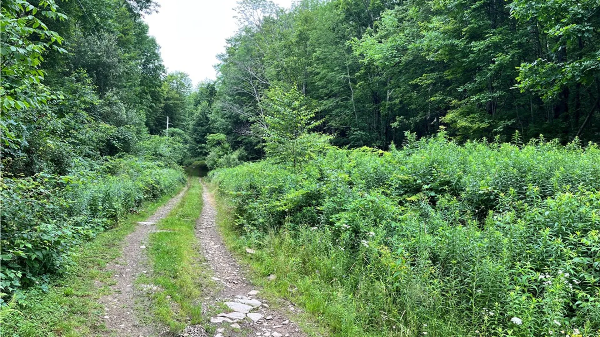 Property at 0 Marvin Hollow Road, Walton, NY 13856 15