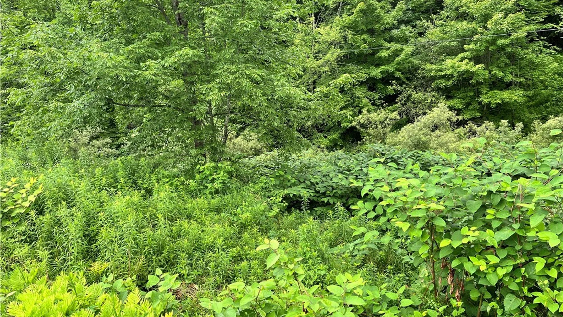 Property at 0 Marvin Hollow Road, Walton, NY 13856 16