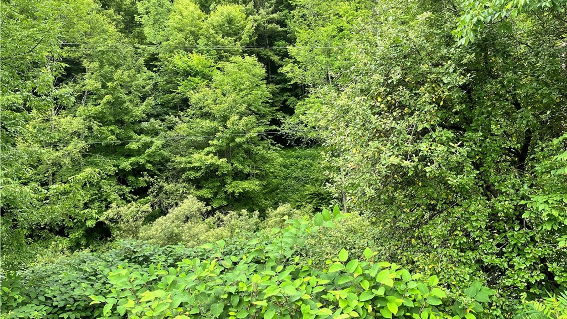 Property at 0 Marvin Hollow Road, Walton, NY 13856 17