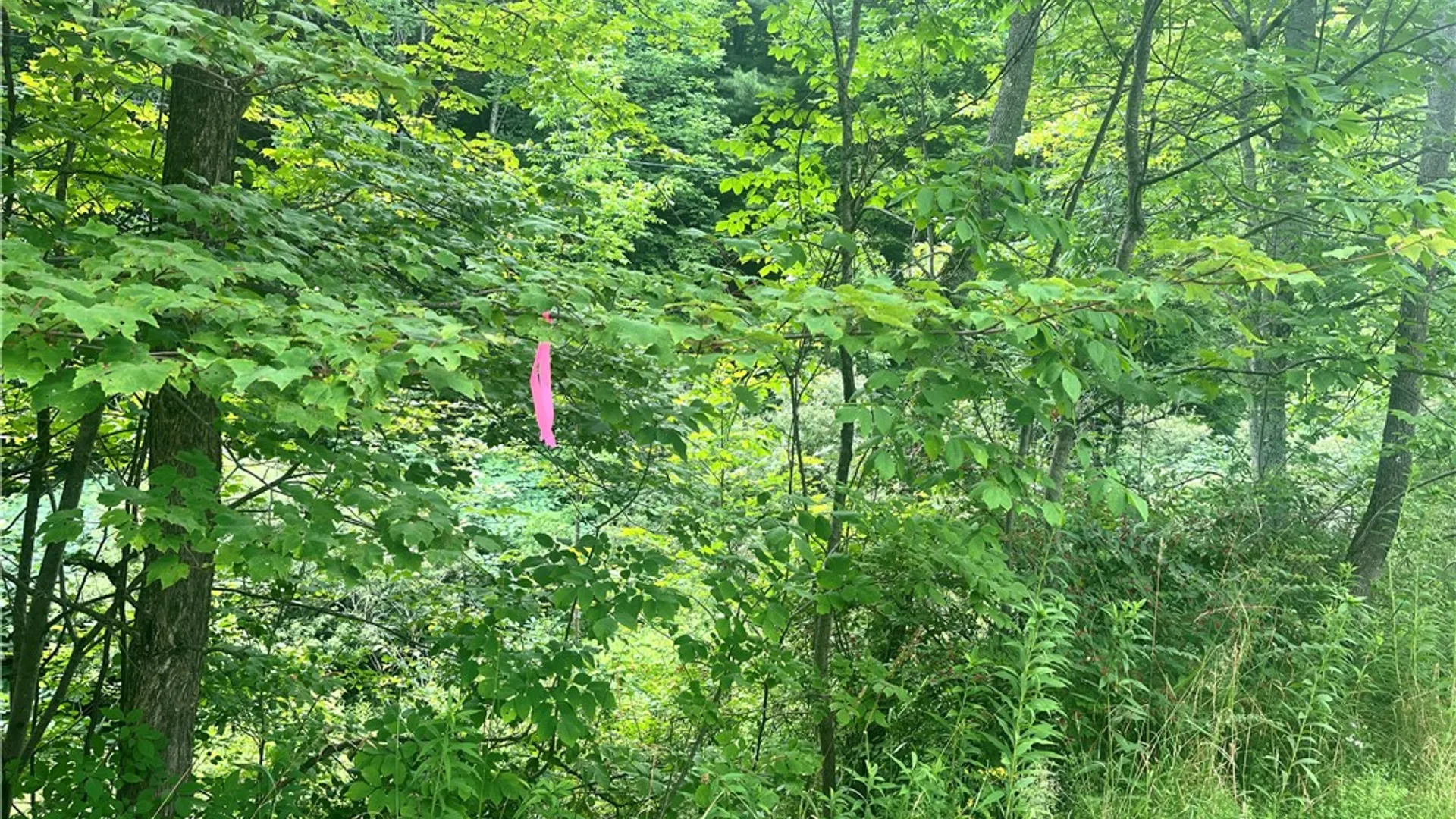 Property at 0 Marvin Hollow Road, Walton, NY 13856 19