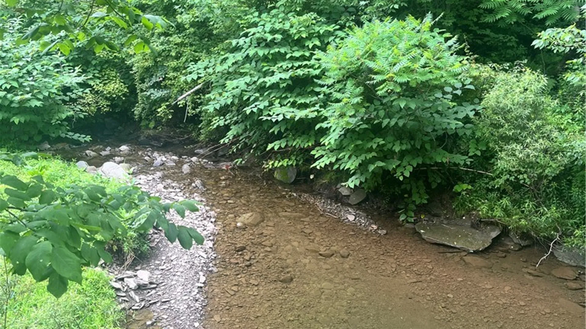 Property at 0 Marvin Hollow Road, Walton, NY 13856 20