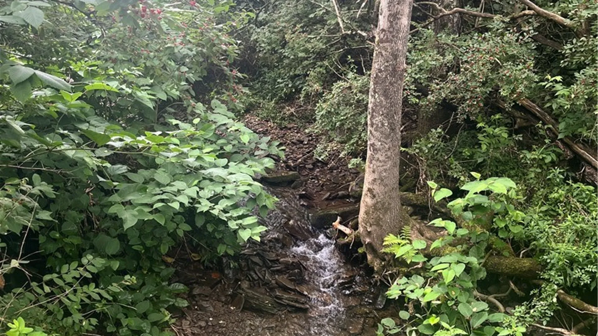 Property at 0 Marvin Hollow Road, Walton, NY 13856 21