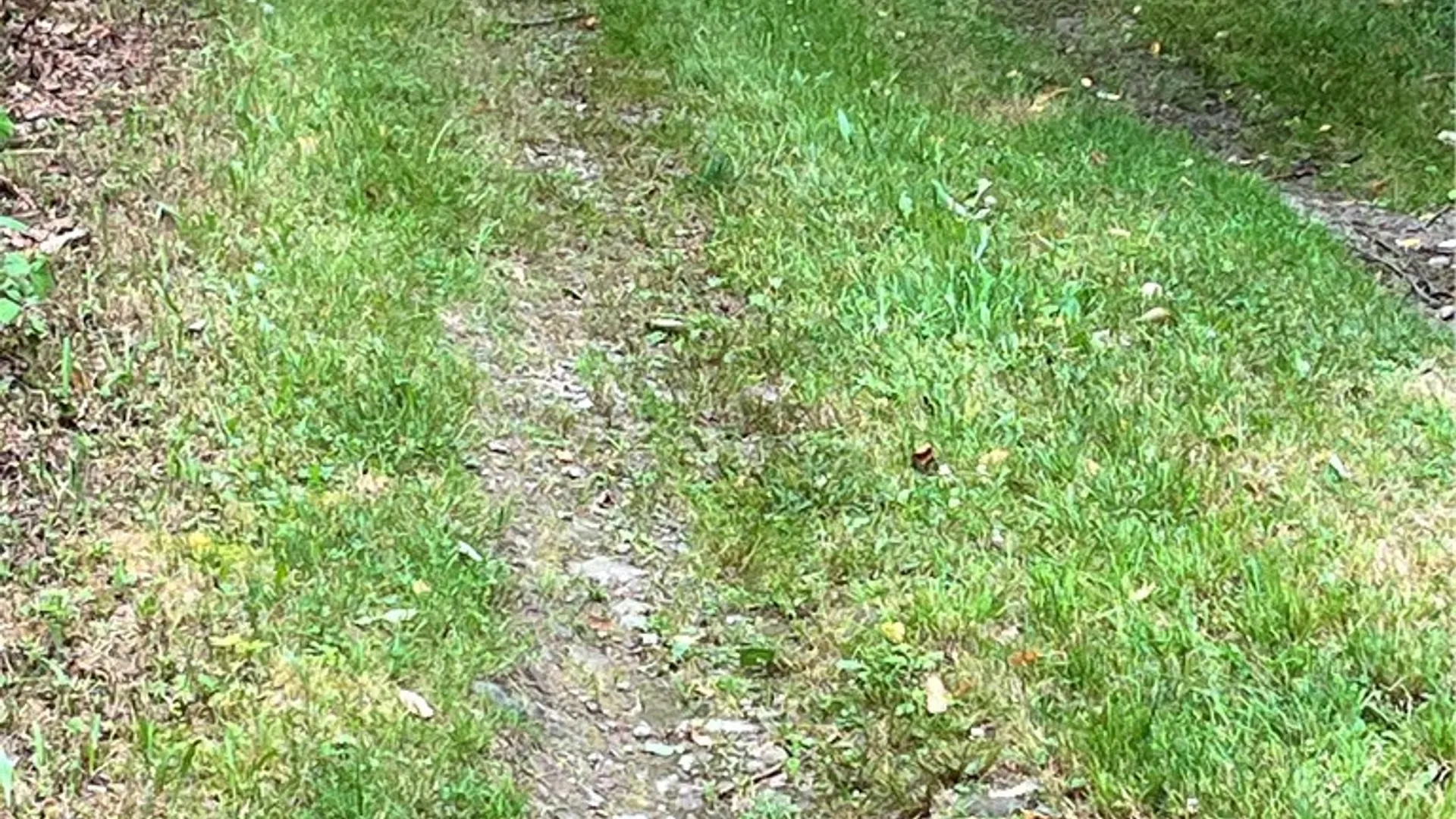 Property at 0 Marvin Hollow Road, Walton, NY 13856 3