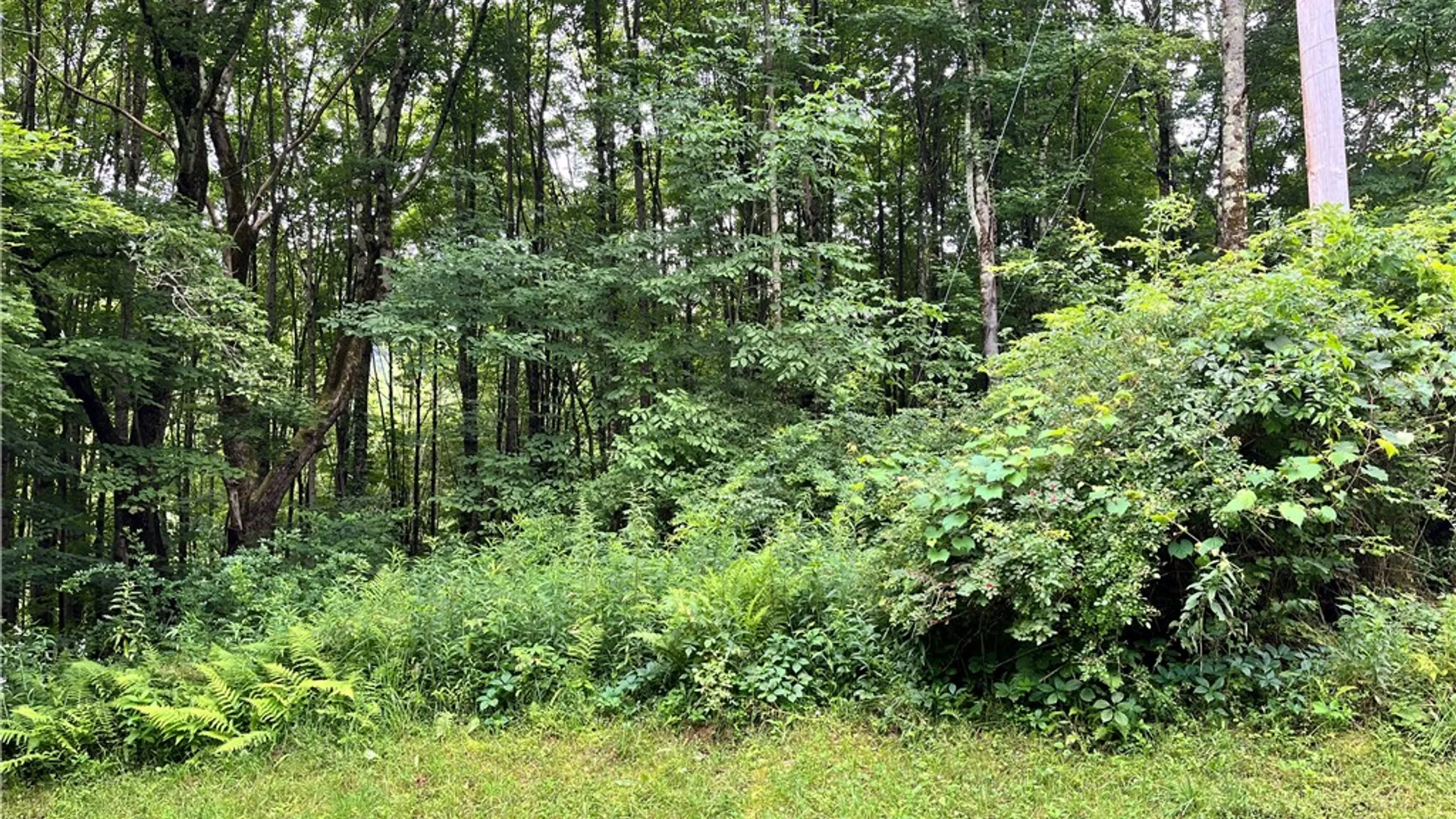 Property at 0 Marvin Hollow Road, Walton, NY 13856 4