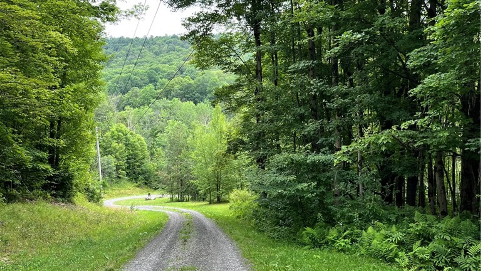 Property at 0 Marvin Hollow Road, Walton, NY 13856 5