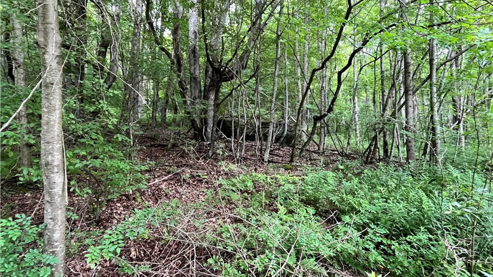 Property at 0 Marvin Hollow Road, Walton, NY 13856 6