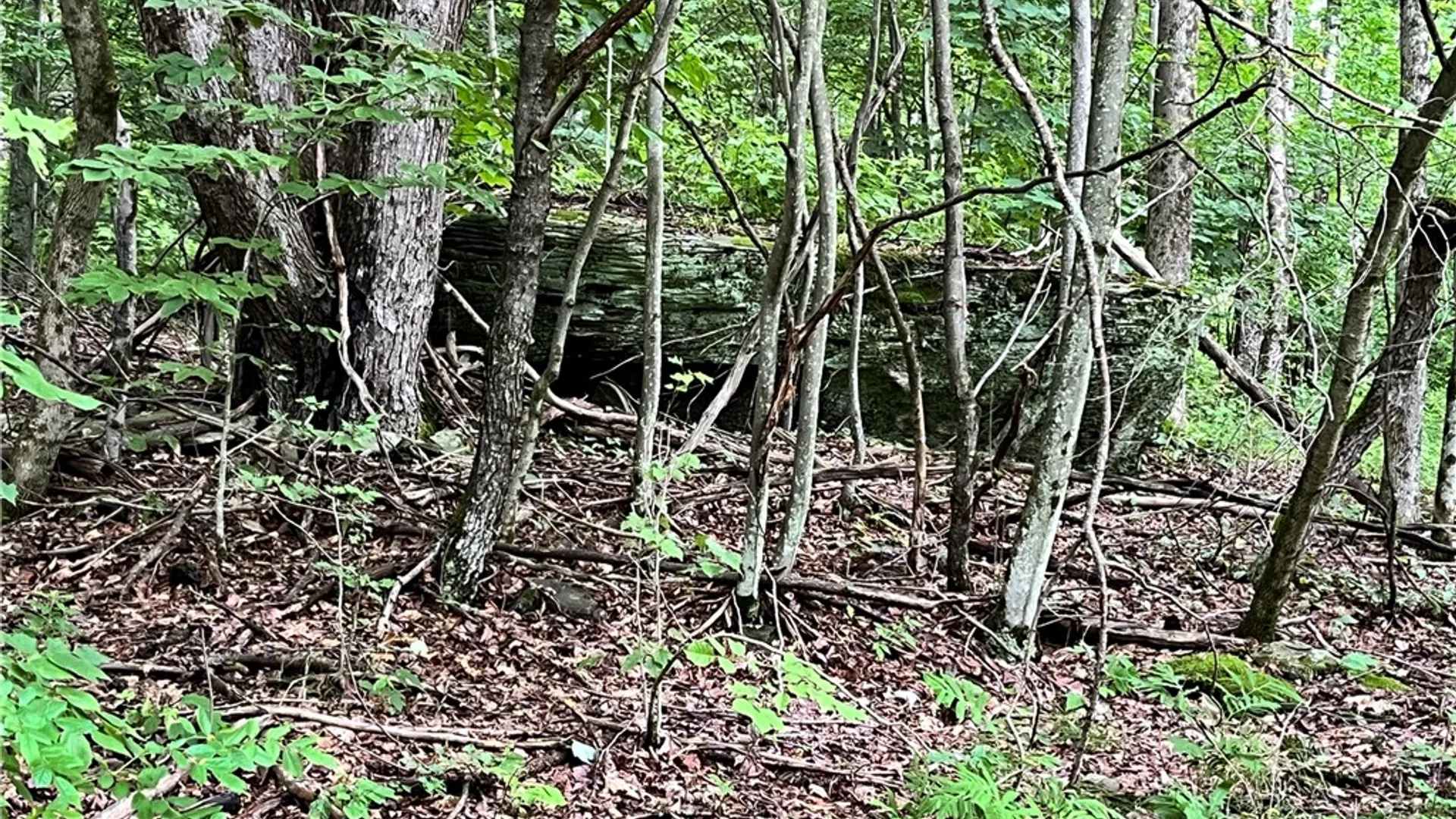 Property at 0 Marvin Hollow Road, Walton, NY 13856 7