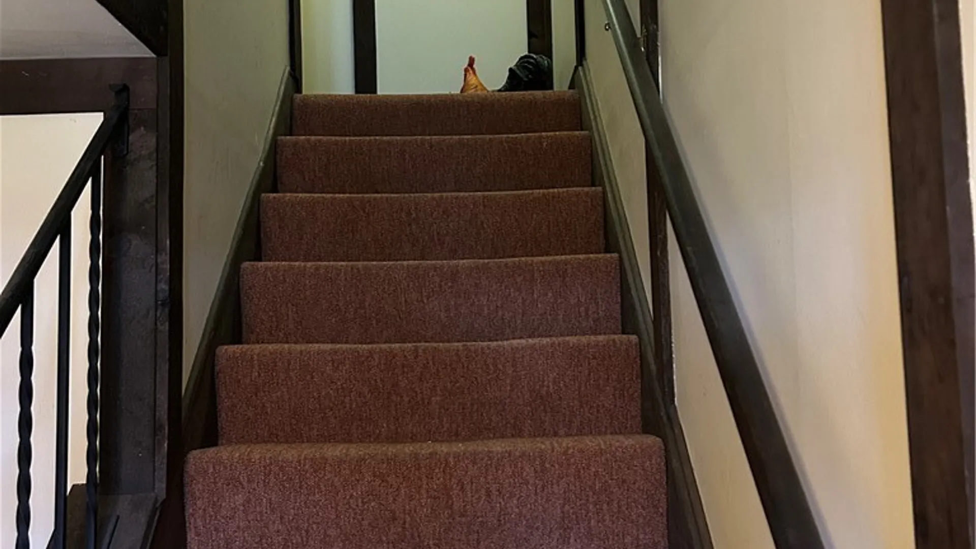 Property at 307 A Cayuga Road, Amherst, NY 14221 3