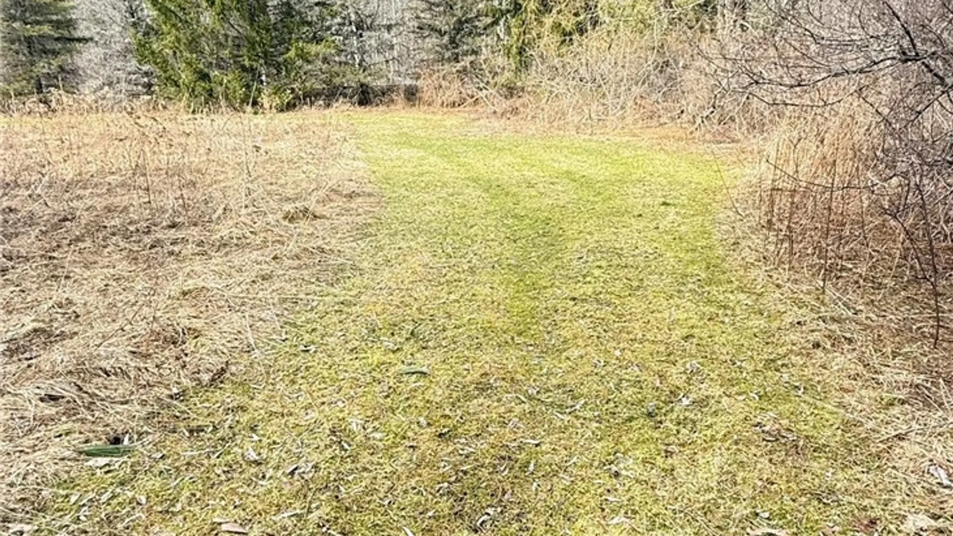 Property at 458 Miller Road, Pittsfield, NY 13411 44