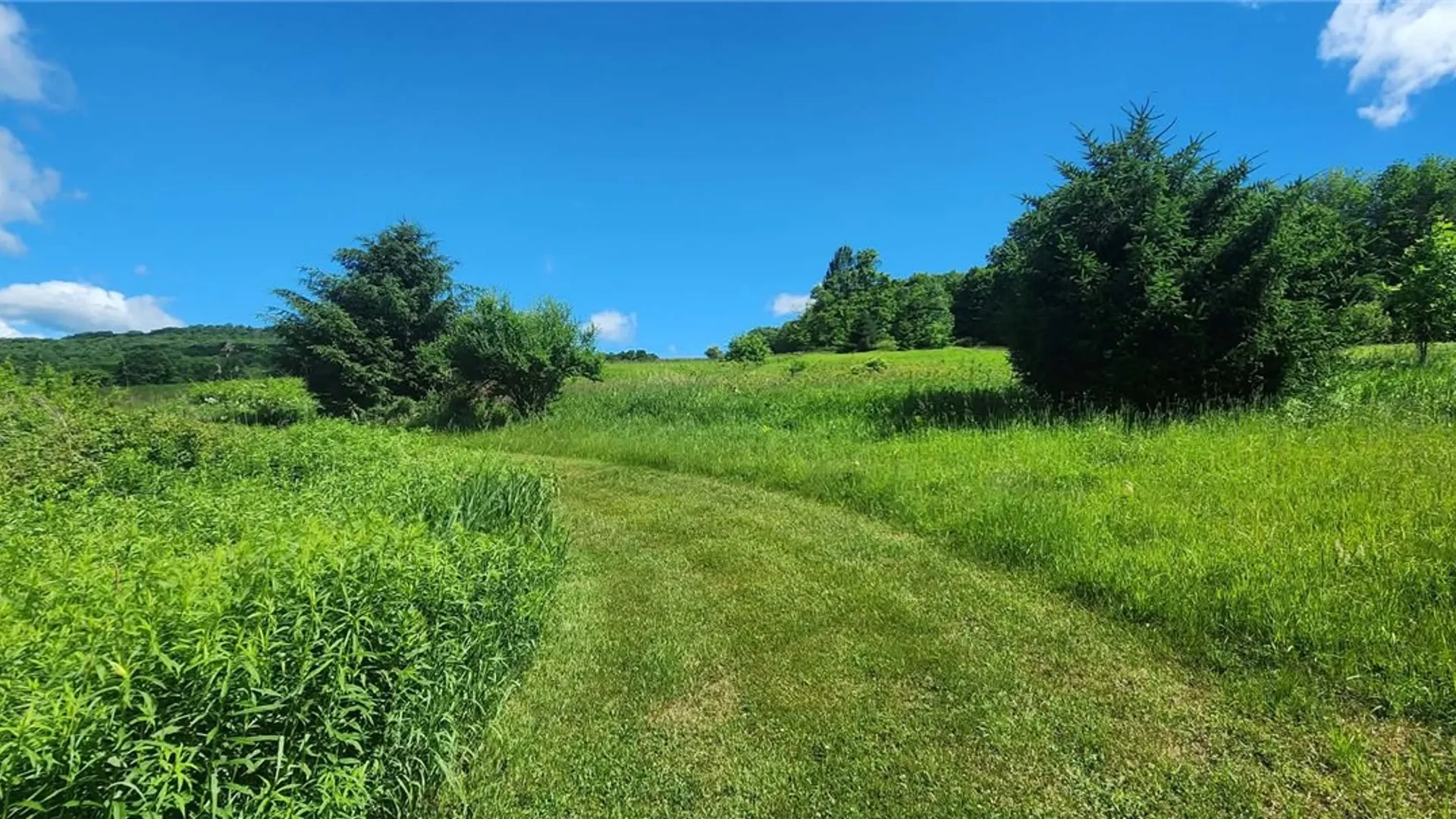Property at 1052 County Highway 23, Walton, NY 13856 27