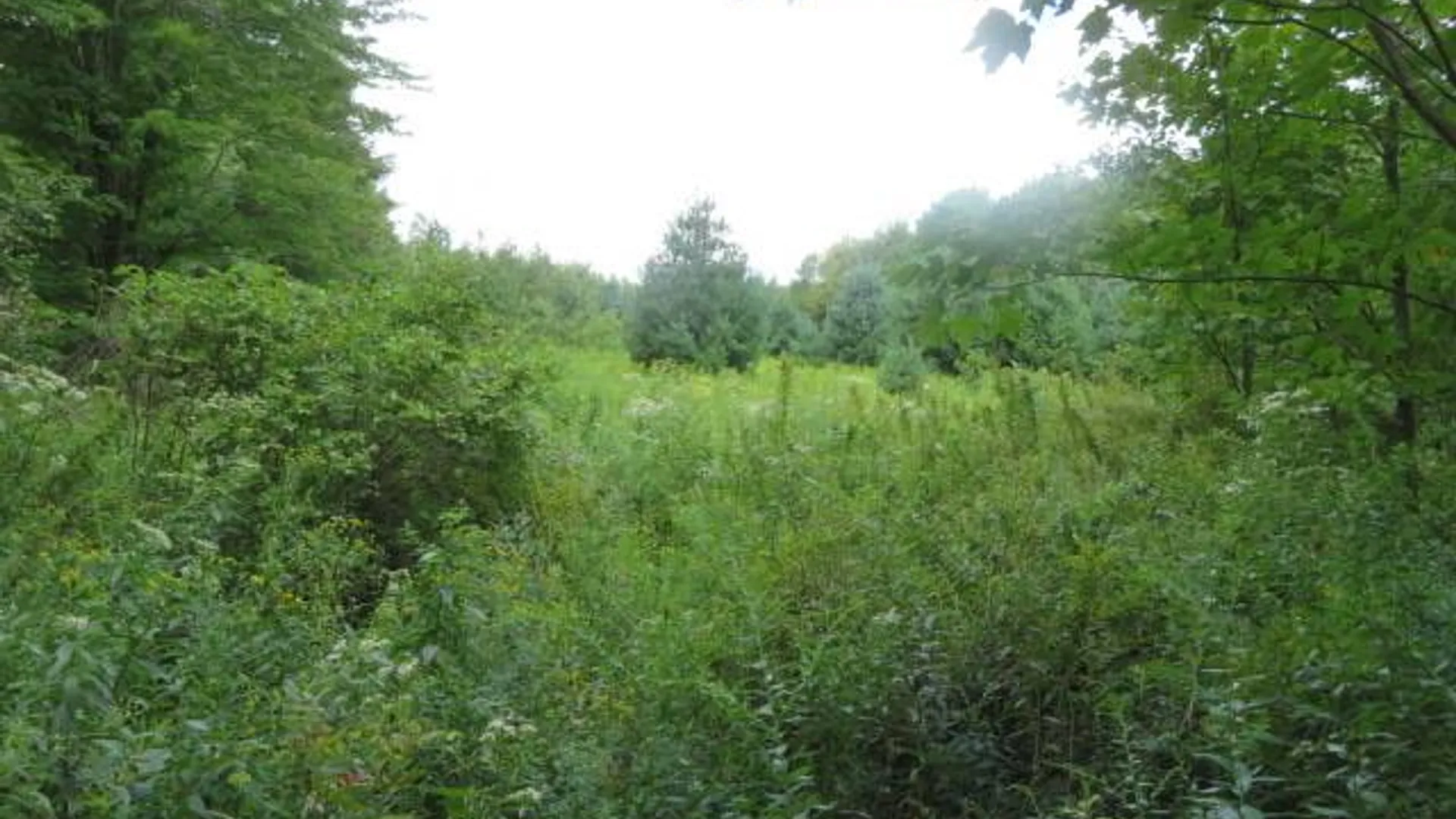 Property at 19 Goose Point Rd, Camden, NY 13316 2