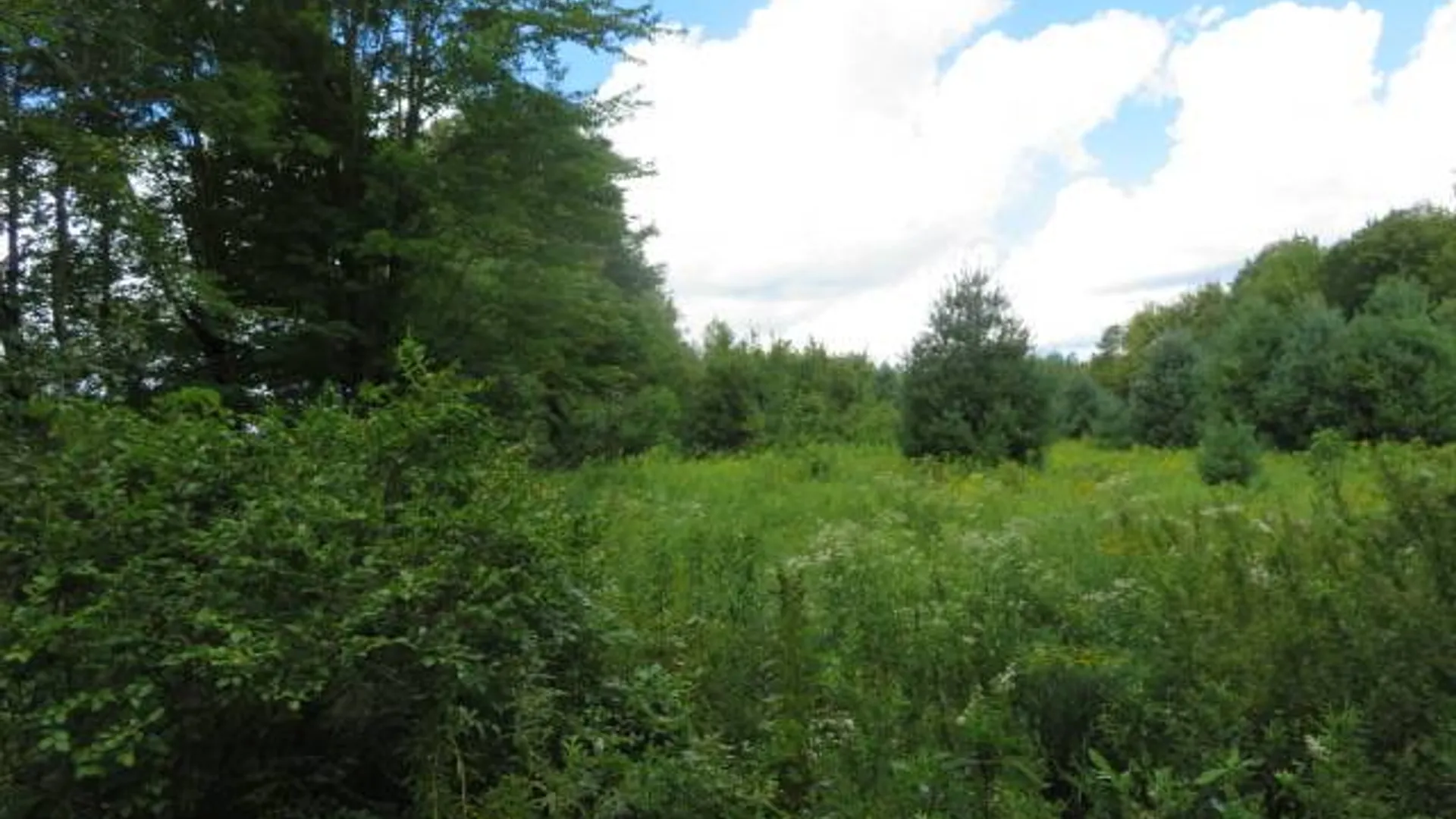 Property at 19 Goose Point Rd, Camden, NY 13316 3