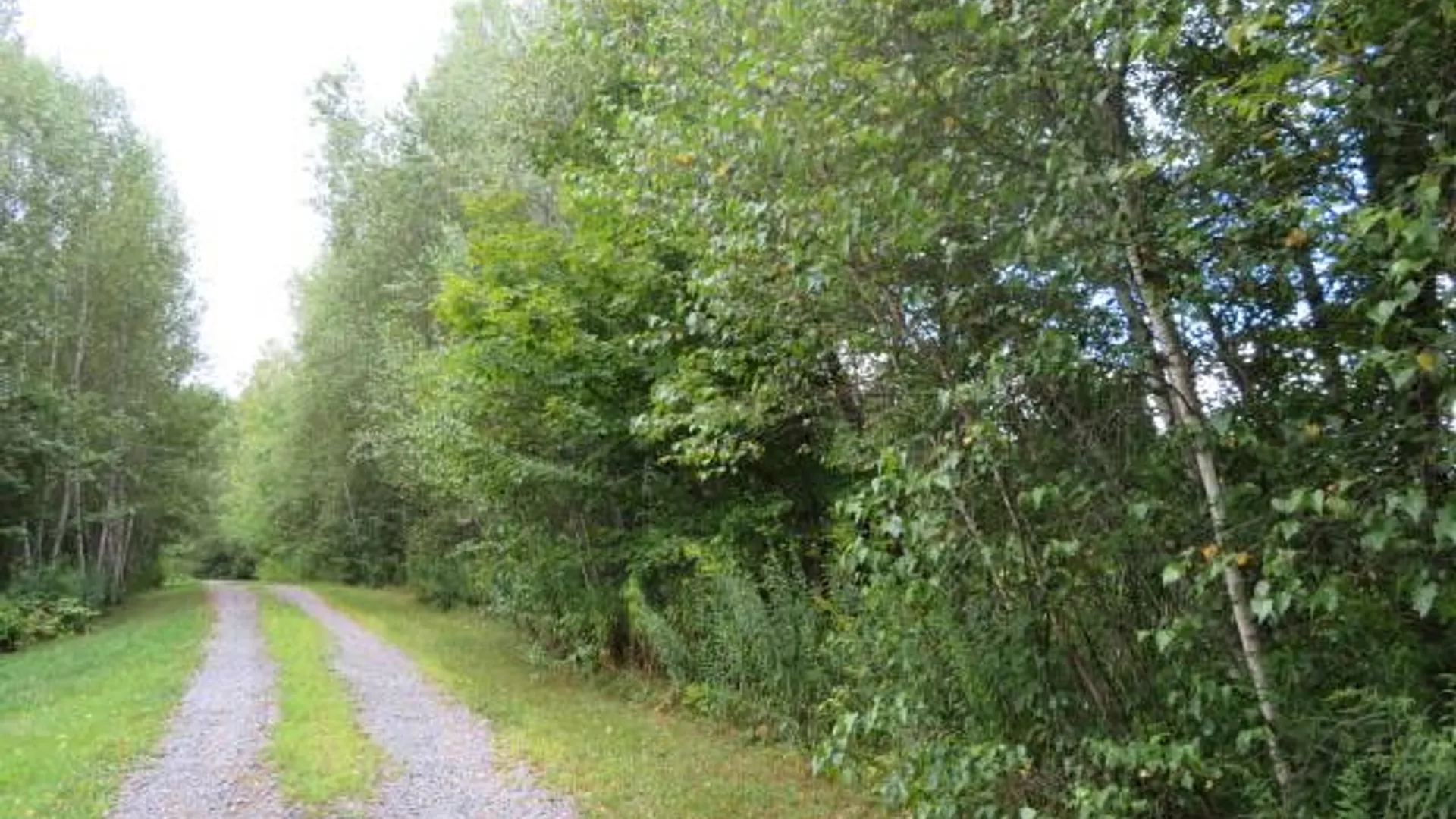 Property at 19 Goose Point Rd, Camden, NY 13316 5