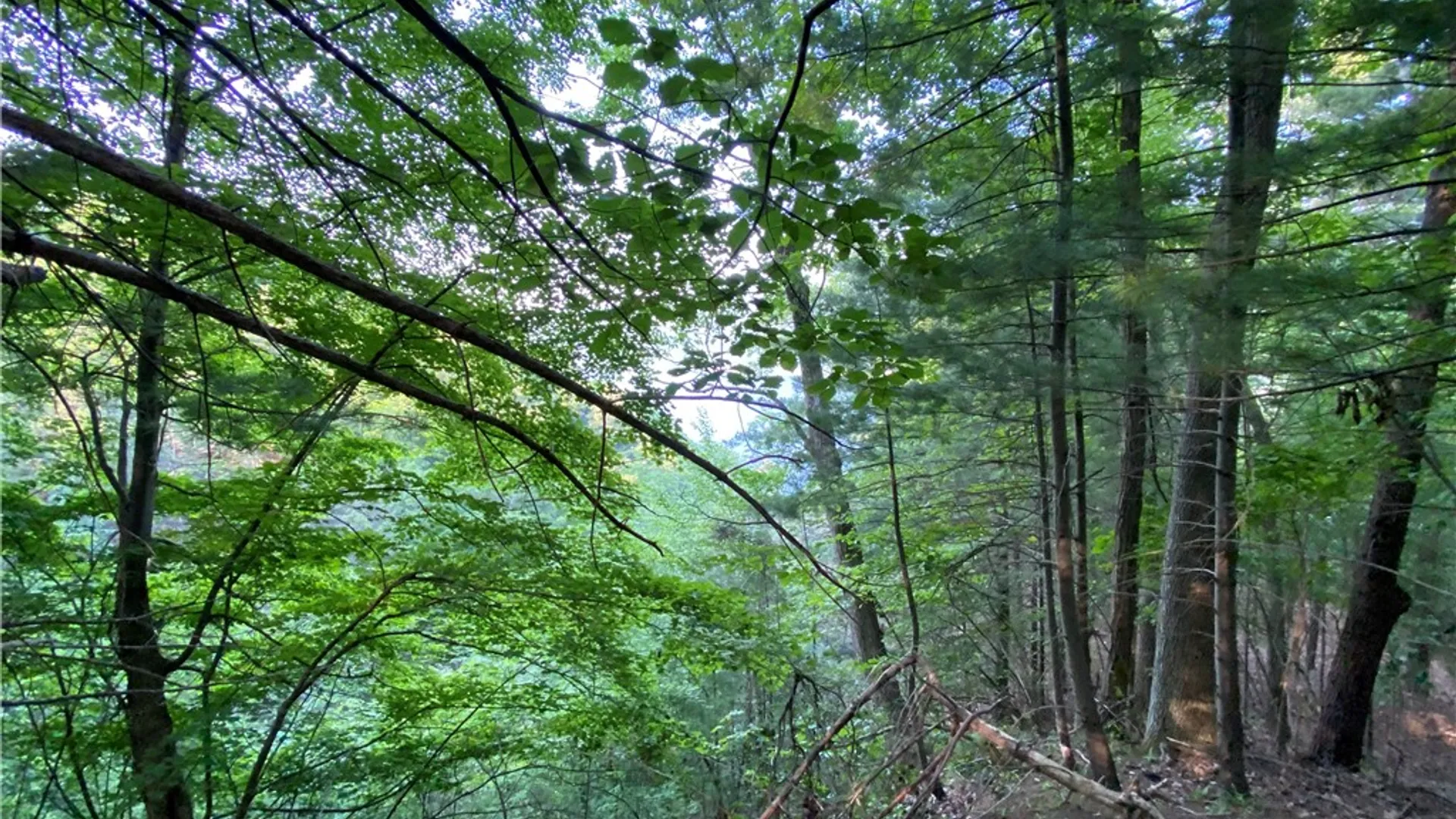 Property at 0 Longview Drive, South Bristol, NY 14512 11