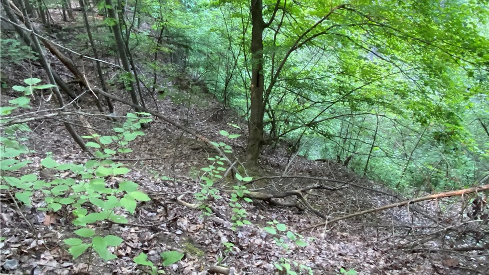 Property at 0 Longview Drive, South Bristol, NY 14512 12