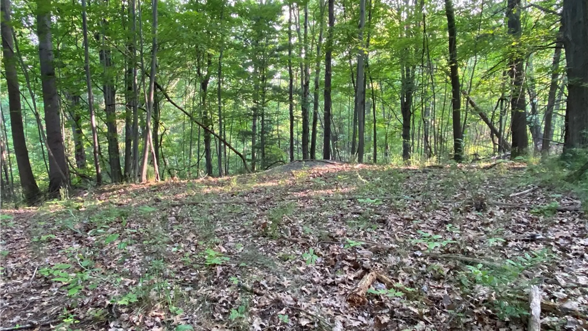 Property at 0 Longview Drive, South Bristol, NY 14512 13