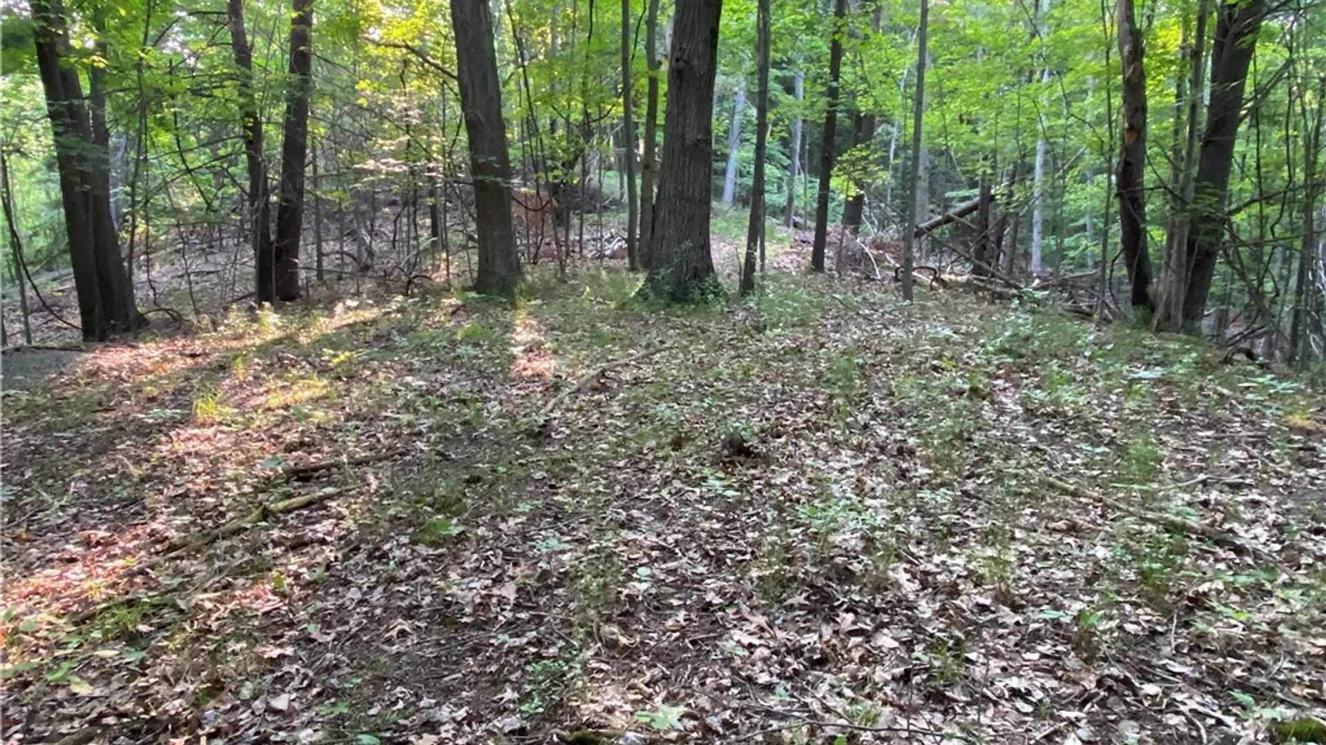 Property at 0 Longview Drive, South Bristol, NY 14512 14