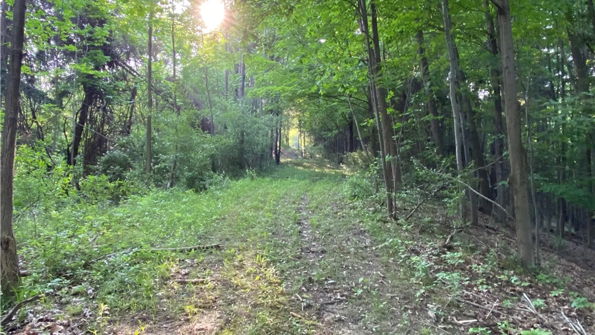 Property at 0 Longview Drive, South Bristol, NY 14512 15