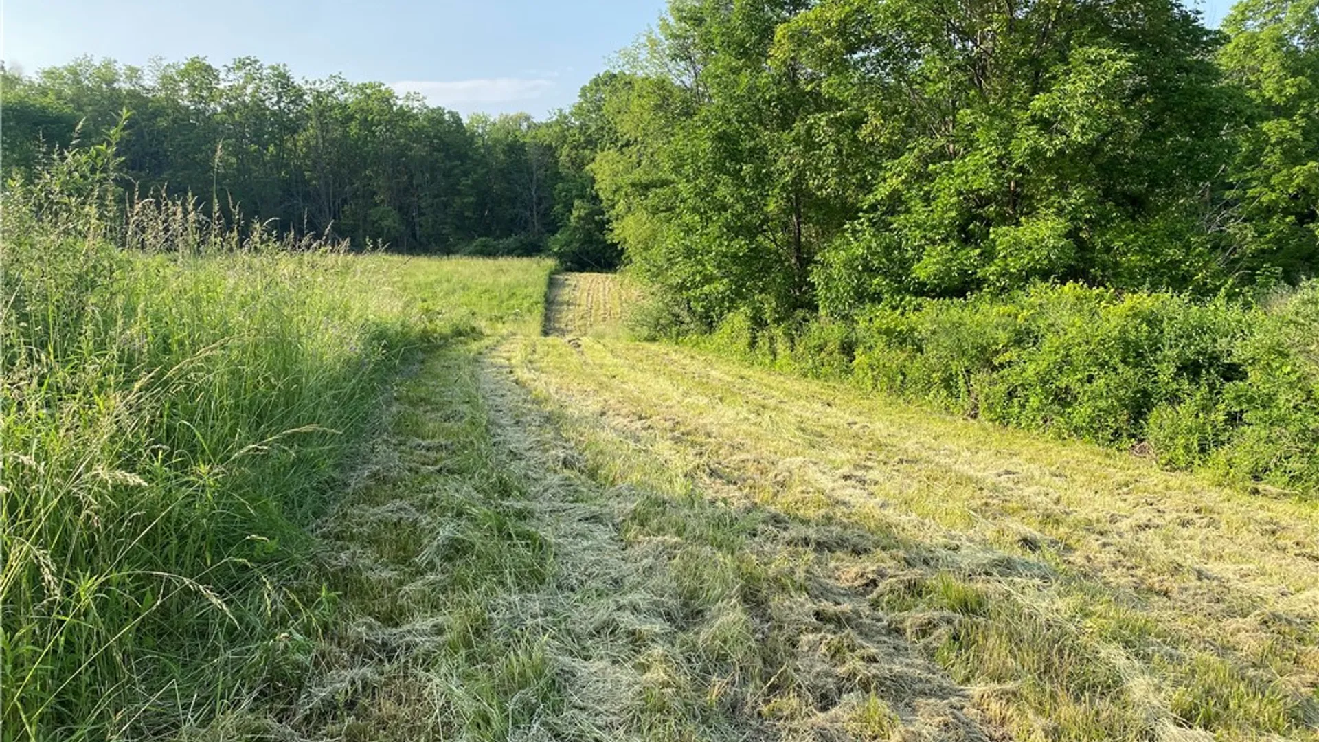 Property at 0 Longview Drive, South Bristol, NY 14512 4