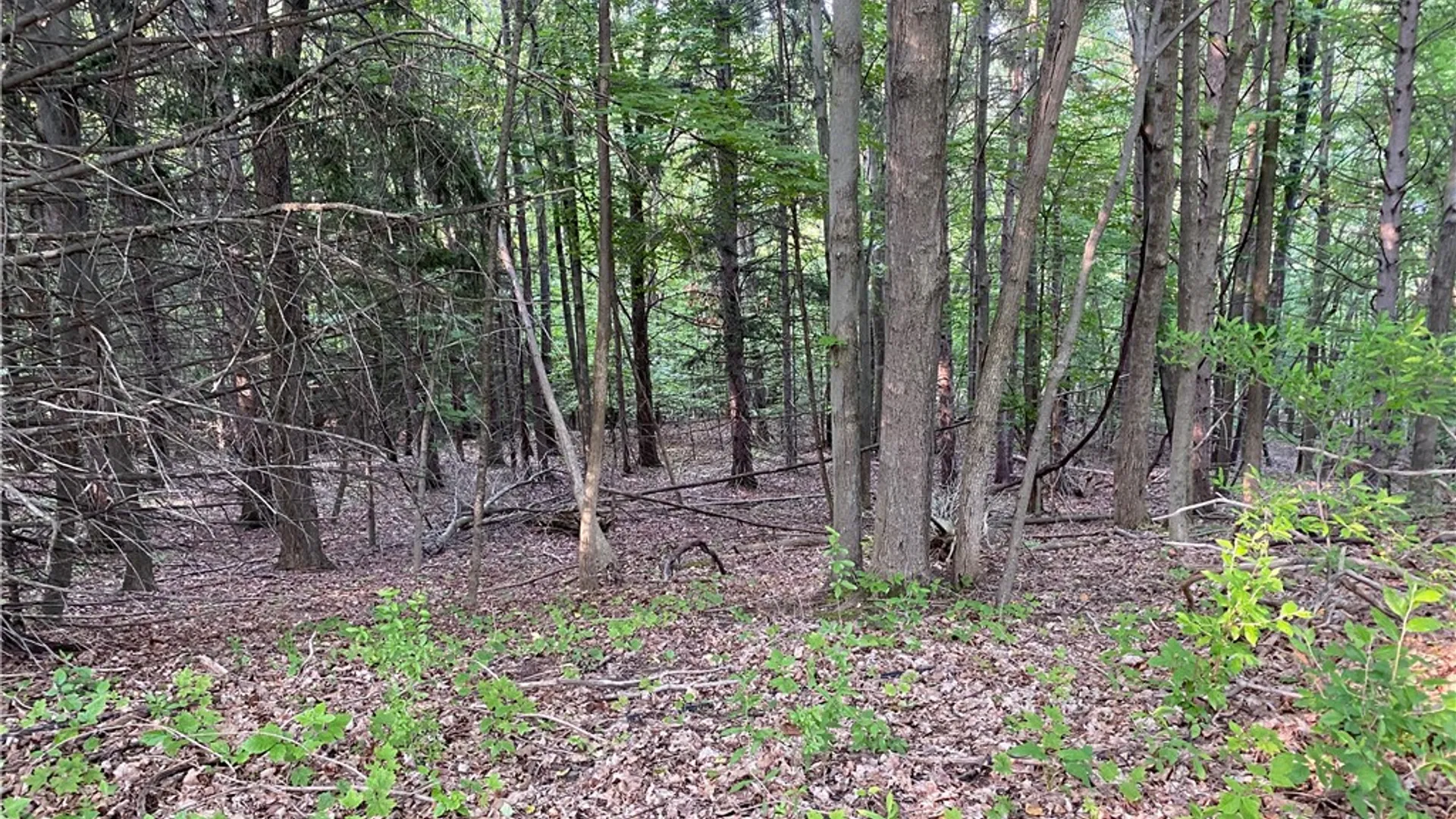 Property at 0 Longview Drive, South Bristol, NY 14512 8