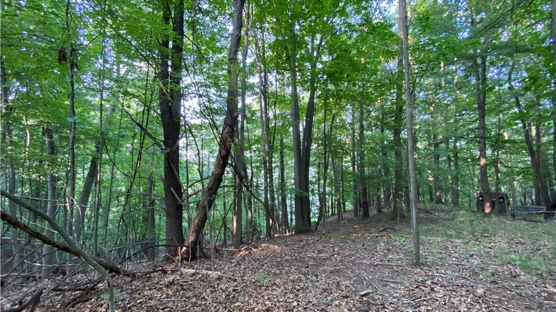 Property at 0 Longview Drive, South Bristol, NY 14512 9